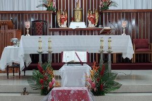 ▷ Iglesia Catedral Nuestra Señora del Carmen | Panamá