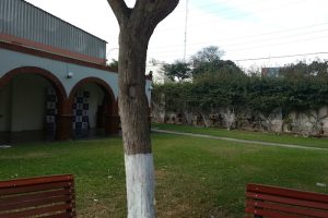 ▷ Iglesia Cristiana Evangélica Las Asambleas de Dios del Perú | Cultos Perú